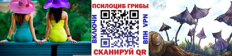 Купить где  Сольвычегодск  Галлюциногенные грибы прущие грибы 
